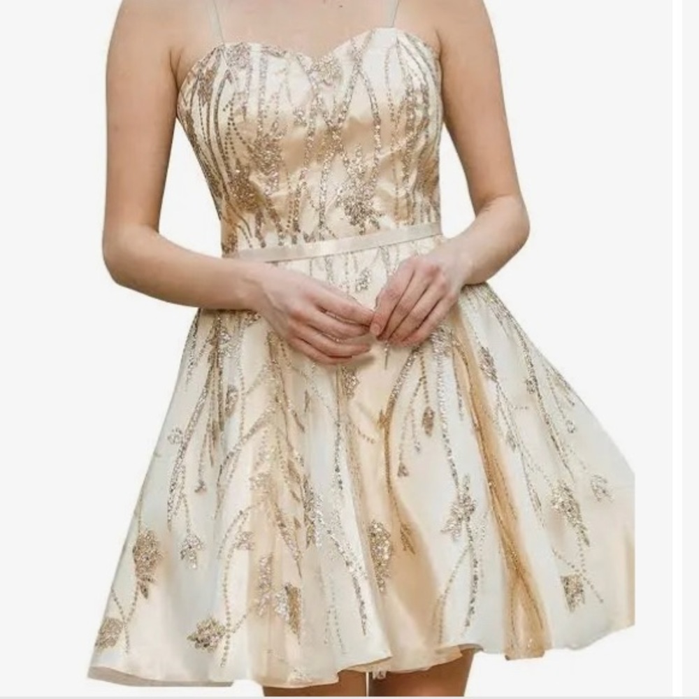 Dancing Queen USA Champagne Dress Size M